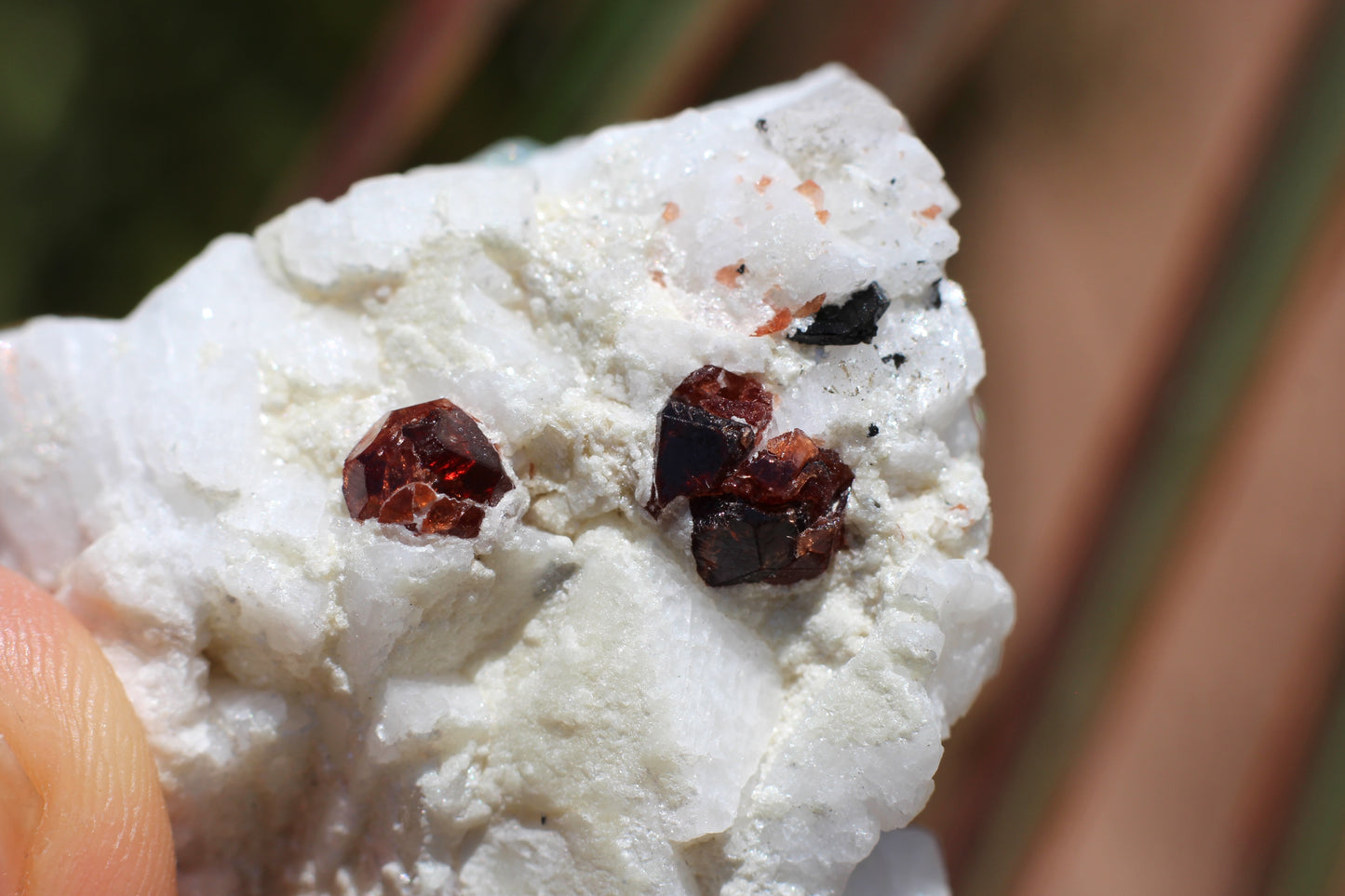 Spessartine Garnets on Quartz w/ Aquamarine, Mica, Feldspar and Schorl