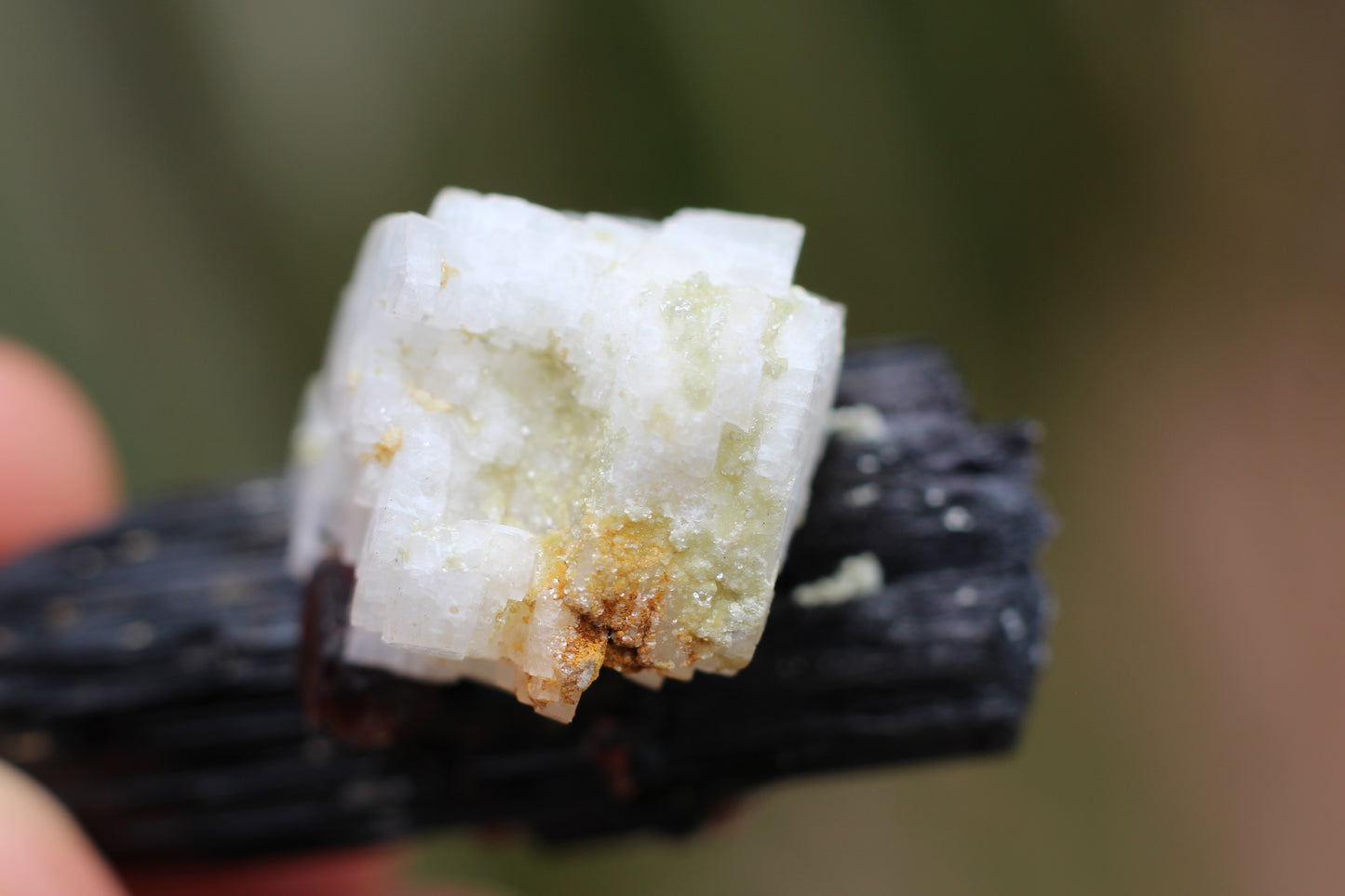 Spessartine Garnet on Feldspar w/ Schorl