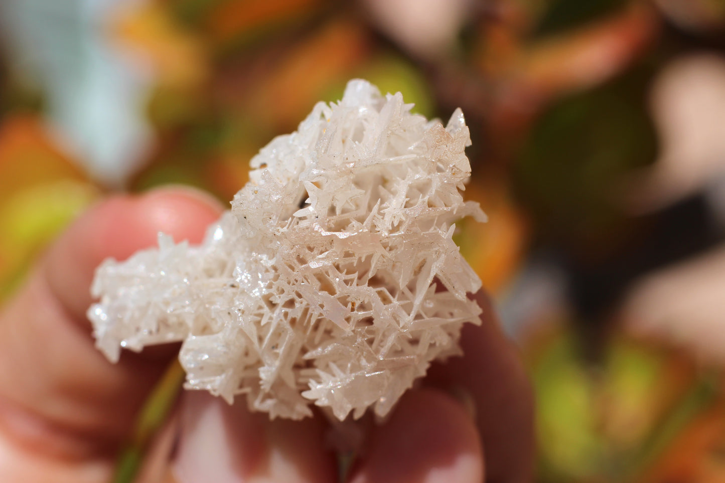 Snowflake Cerussite