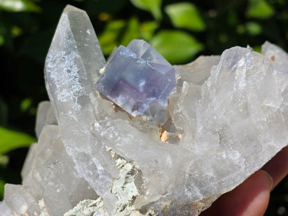 YGX Fluorite on Quartz