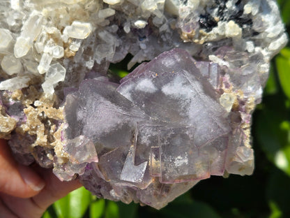 YGX Fluorite on Quartz