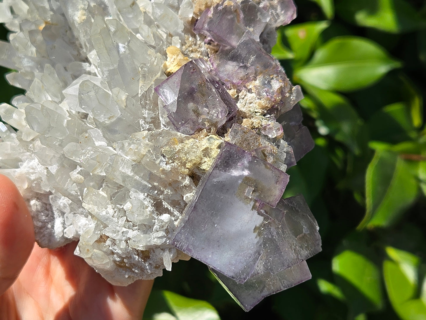 YGX Fluorite on Quartz