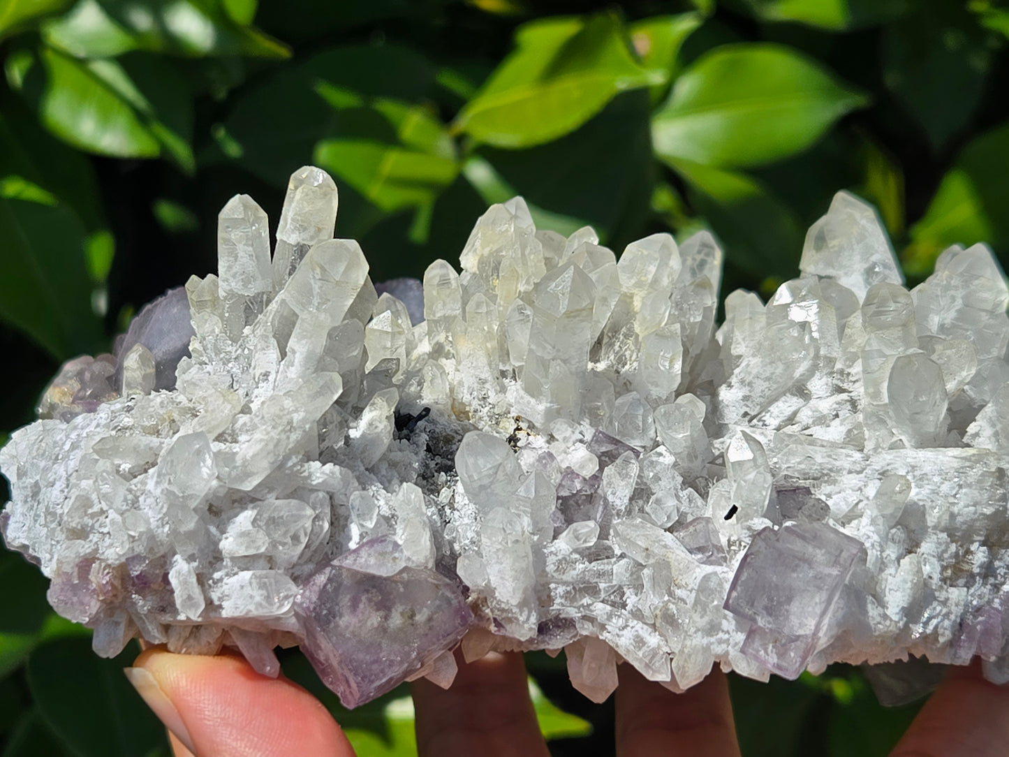 YGX Fluorite on Quartz