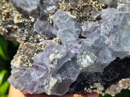 YGX Fluorite w/ Arsenopyrite and Mica