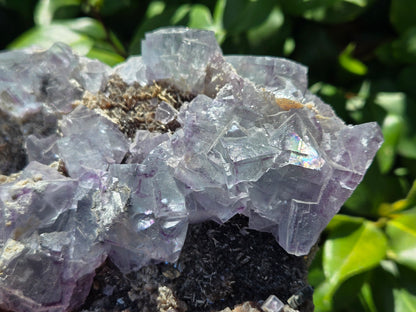 YGX Fluorite w/ Arsenopyrite and Mica