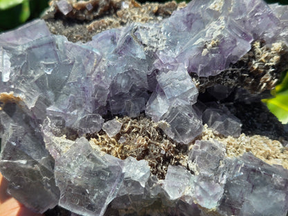 YGX Fluorite w/ Arsenopyrite and Mica