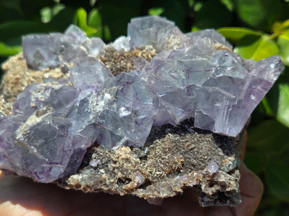 YGX Fluorite w/ Arsenopyrite and Mica