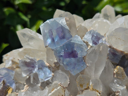 YGX Fluorite on Quartz