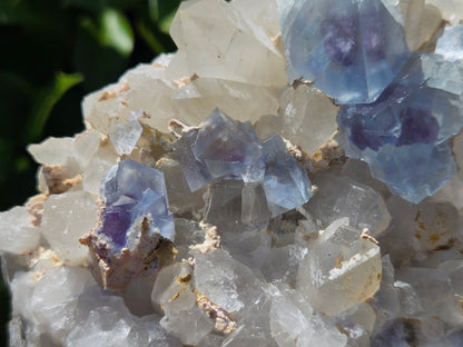 YGX Fluorite on Quartz