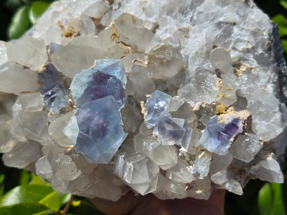 YGX Fluorite on Quartz