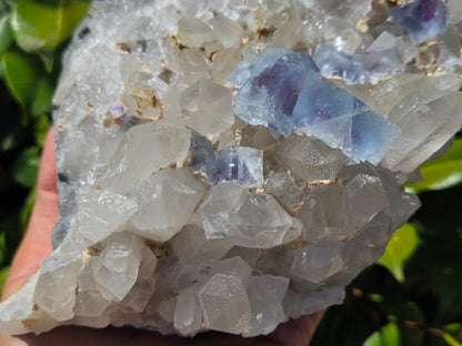 YGX Fluorite on Quartz