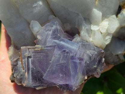 YGX Fluorite on Quartz w/ Wolframite