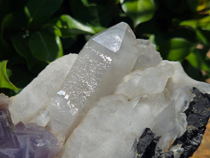 YGX Fluorite on Quartz w/ Wolframite