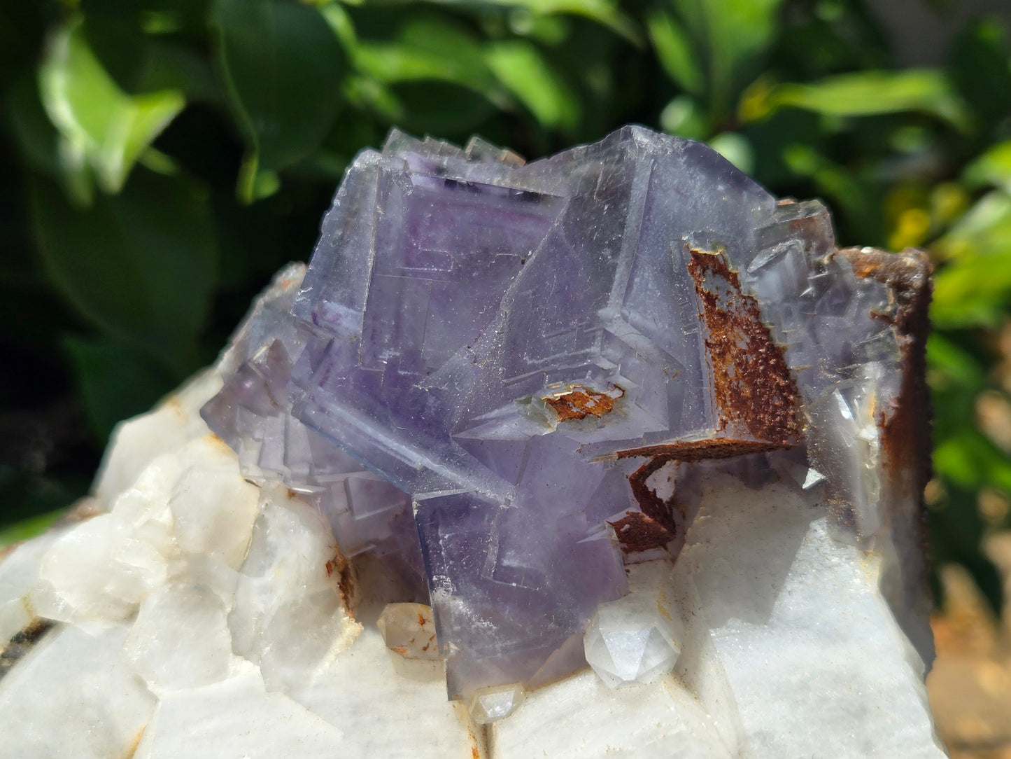 YGX Fluorite on Quartz w/ Wolframite