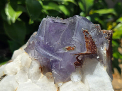 YGX Fluorite on Quartz w/ Wolframite