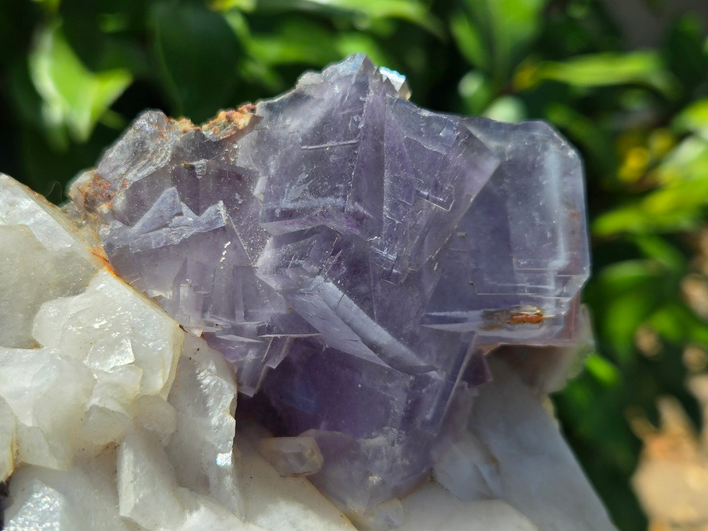 YGX Fluorite on Quartz w/ Wolframite