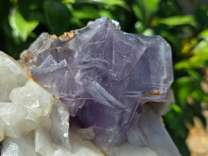 YGX Fluorite on Quartz w/ Wolframite