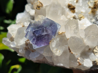 YGX Fluorite on Quartz