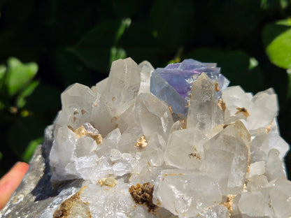 YGX Fluorite on Quartz