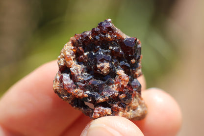 Spessartine Garnet on matrix