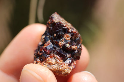 Spessartine Garnet on matrix