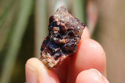 Spessartine Garnet on matrix