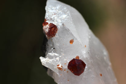 Spessartine Garnets on Quartz w/ Schorl