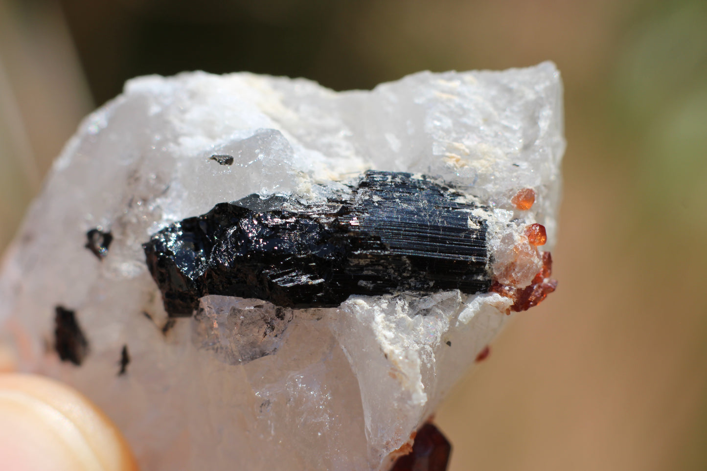 Spessartine Garnets on Quartz w/ Schorl