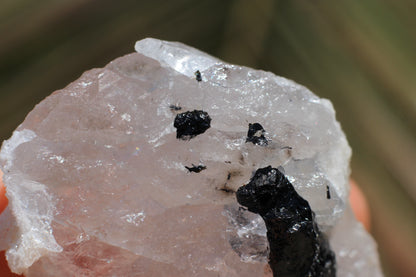 Spessartine Garnets on Quartz w/ Schorl