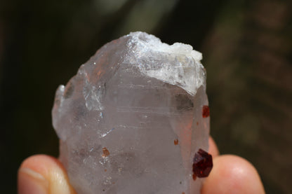 Spessartine Garnets on Quartz w/ Schorl