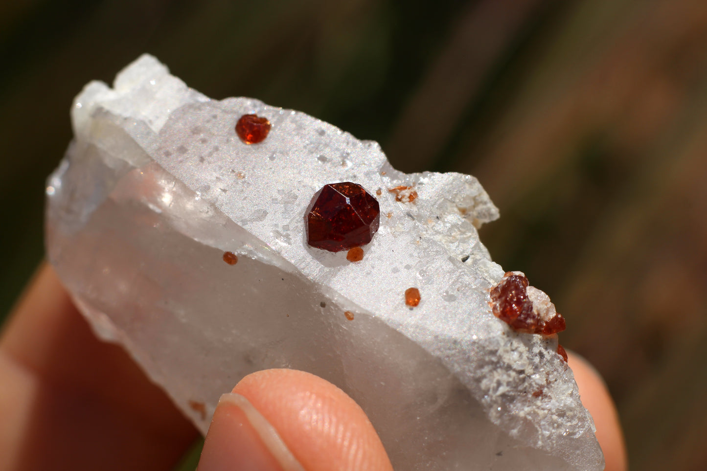 Spessartine Garnets on Quartz w/ Schorl