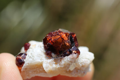 Spessartine Garnet on Feldspar w/ Quartz