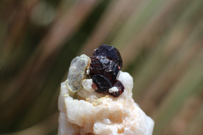 Spessartine Garnet on Feldspar w/ Mica