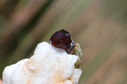 Spessartine Garnet on Feldspar w/ Mica