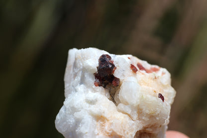 Spessartine Garnet on Feldspar w/ Mica