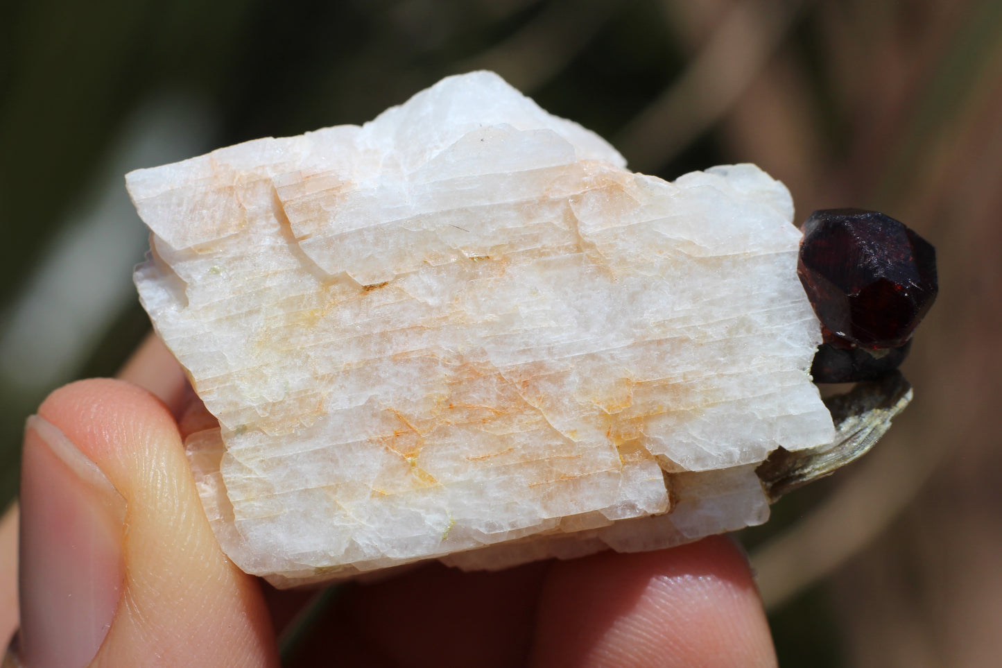 Spessartine Garnet on Feldspar w/ Mica