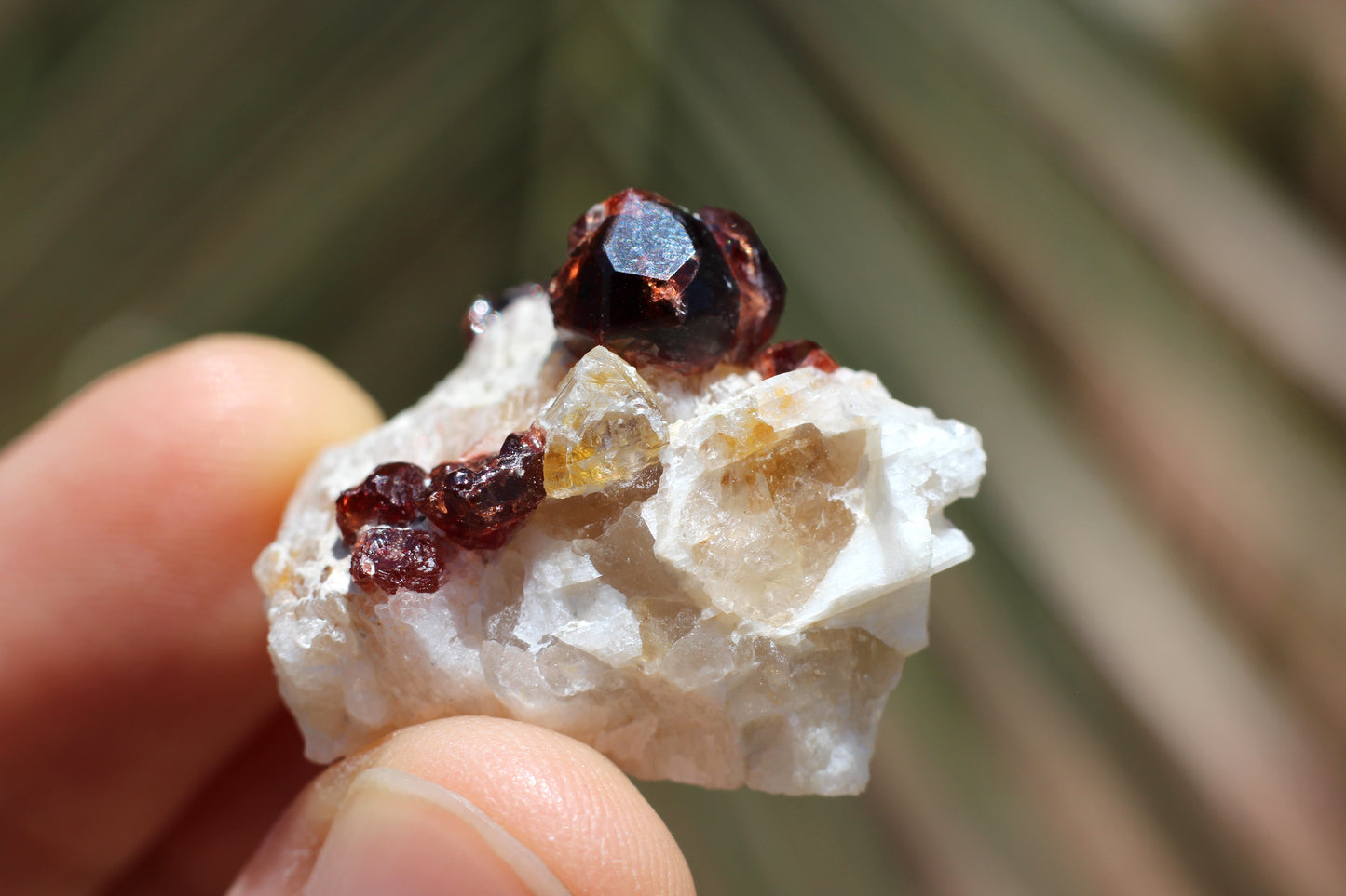 Spessartine Garnet on Feldspar w/ Quartz