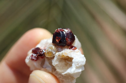 Spessartine Garnet on Feldspar w/ Quartz