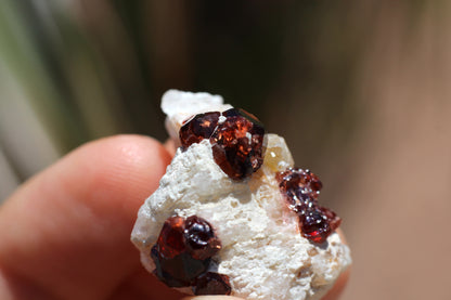 Spessartine Garnet on Feldspar w/ Quartz