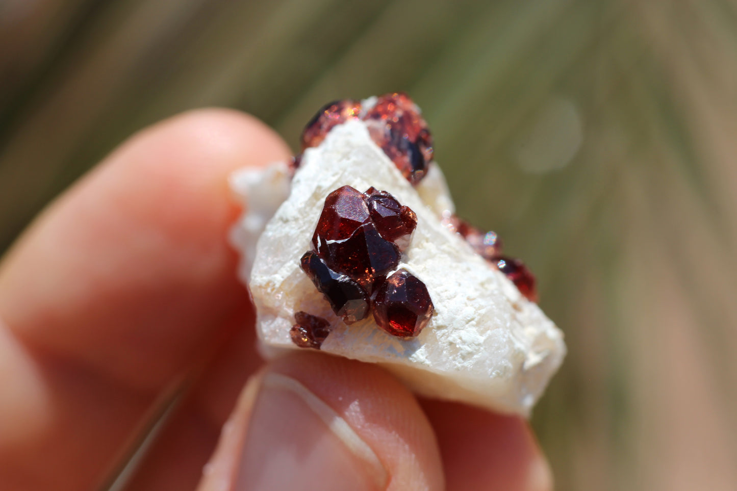 Spessartine Garnet on Feldspar w/ Quartz