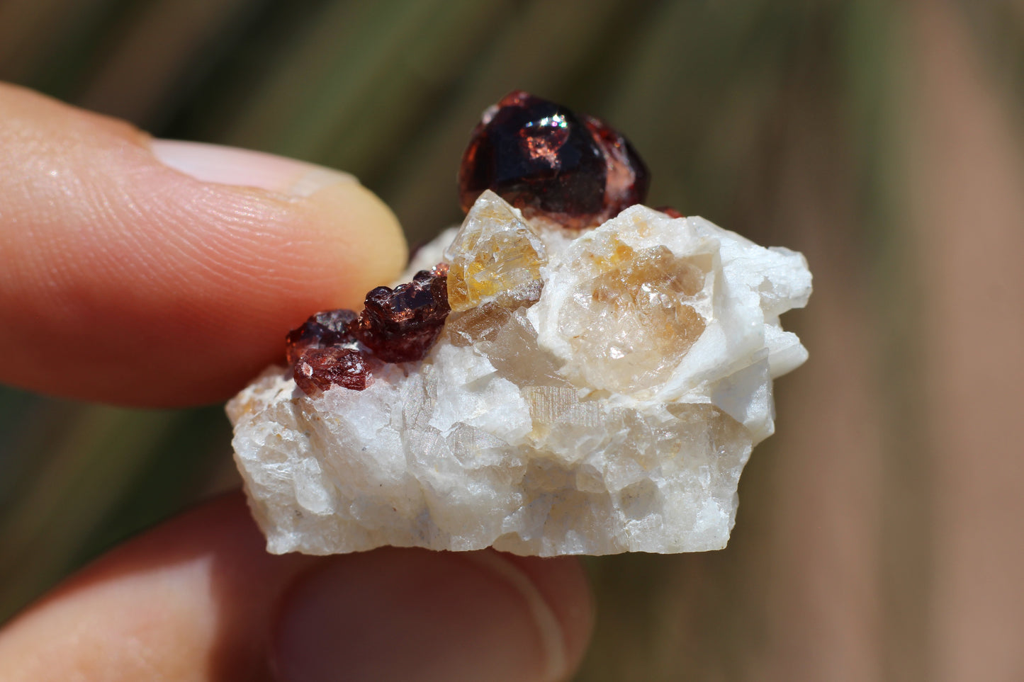 Spessartine Garnet on Feldspar w/ Quartz