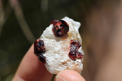 Spessartine Garnet on Feldspar w/ Quartz