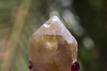 Spessartine Garnets on Quartz w/ Schorl