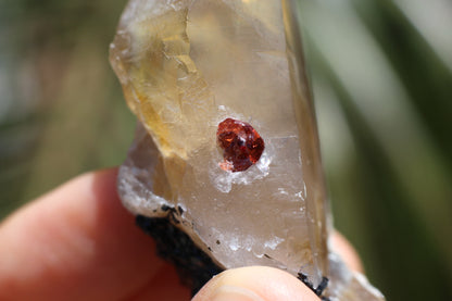 Spessartine Garnets on Quartz w/ Schorl