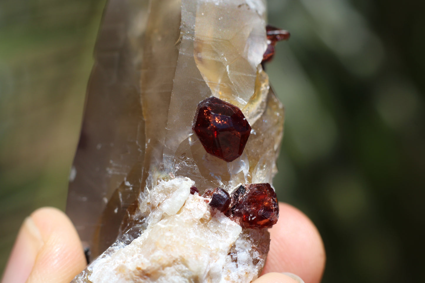 Spessartine Garnets on Quartz w/ Schorl