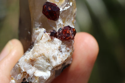 Spessartine Garnets on Quartz w/ Schorl