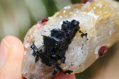 Spessartine Garnets on Quartz w/ Schorl