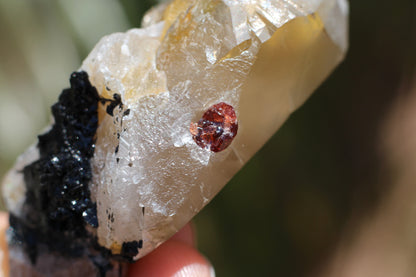 Spessartine Garnets on Quartz w/ Schorl