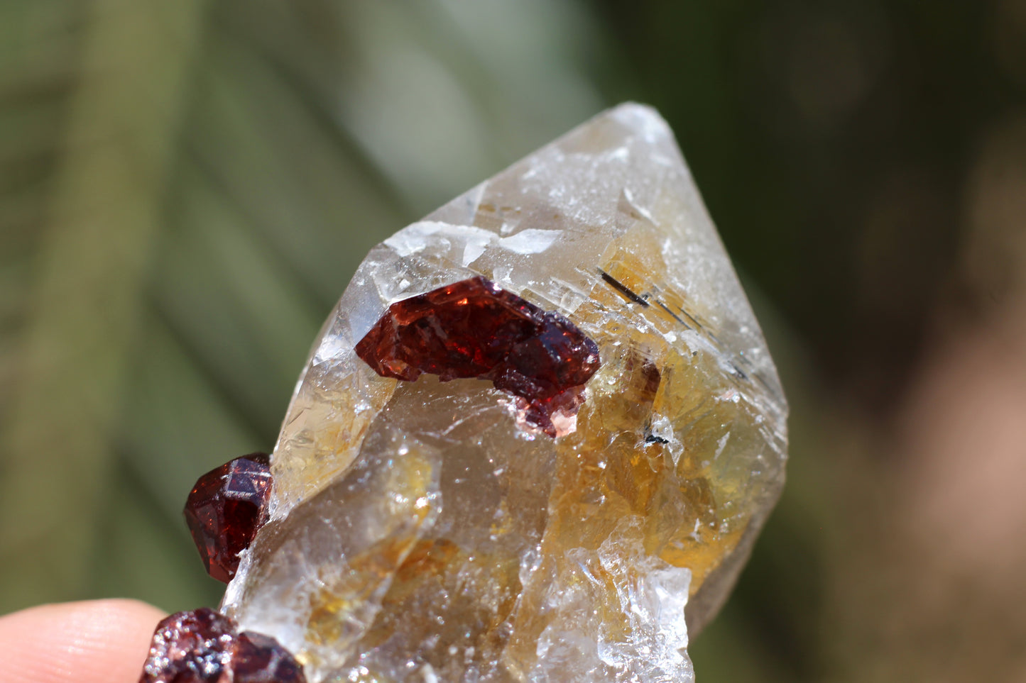 Spessartine Garnets on Quartz w/ Schorl