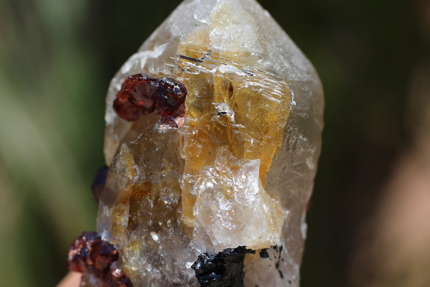 Spessartine Garnets on Quartz w/ Schorl